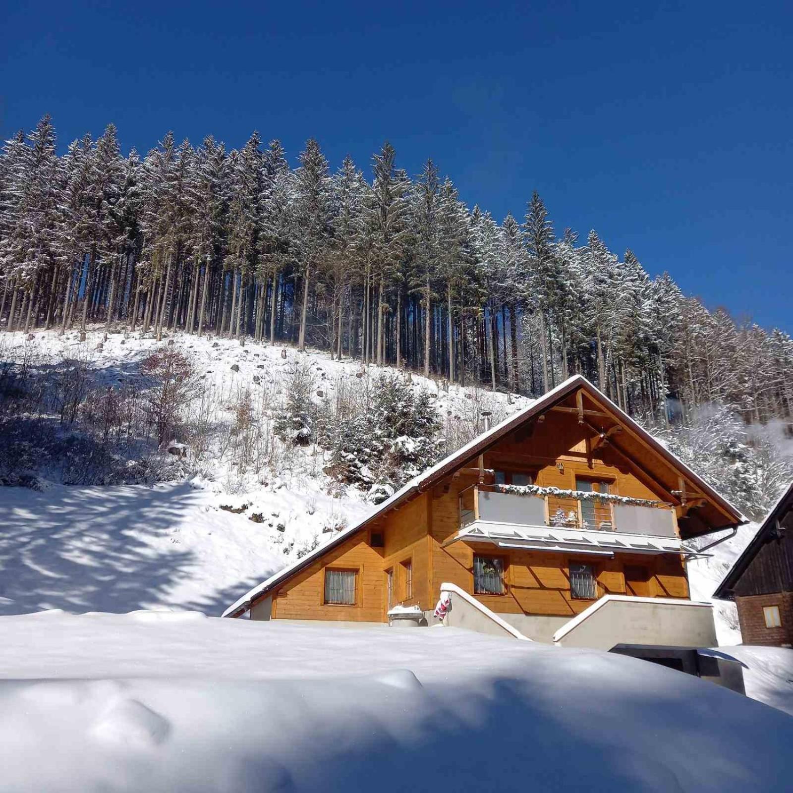 Hisa Lunna - Apartments In A Forest Paradise Vitanje Esterno foto